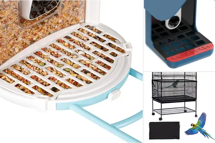 Detailed view of Best Bird Seed Guards