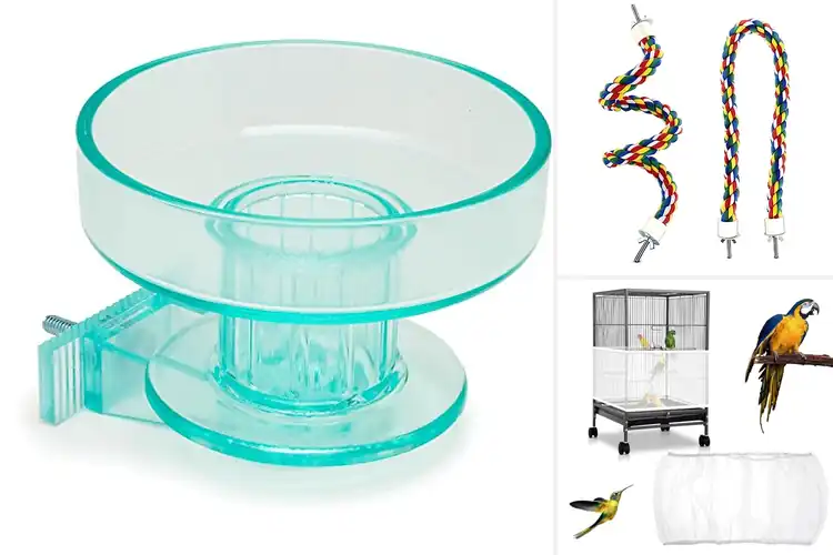Detailed view of Best Birdcage Accessories
