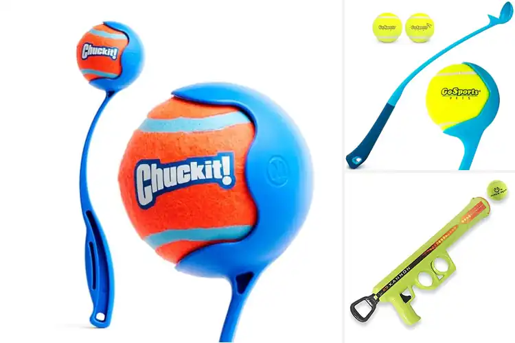 Detailed view of Best Dog Tennis Ball Launchers