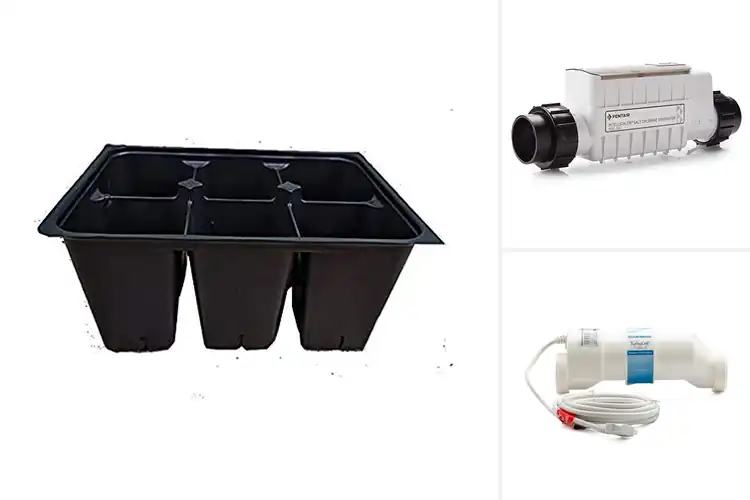 Detailed view of Best Large Cells for Thriving Garden Starts