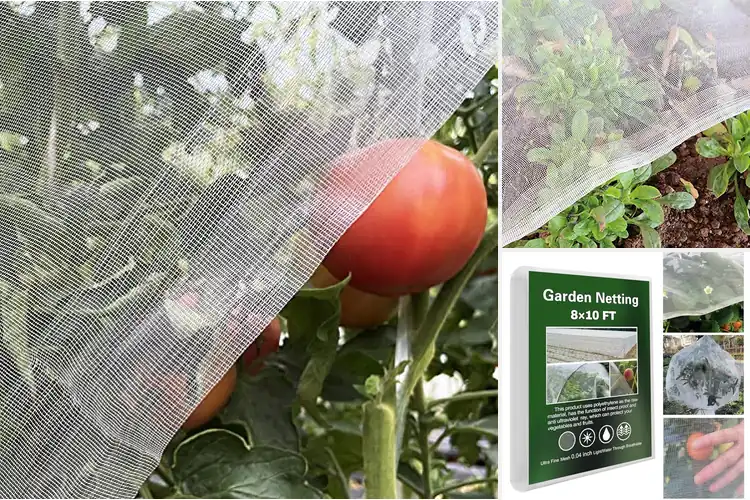 Detailed view of Best Light Allowing Mesh Covers