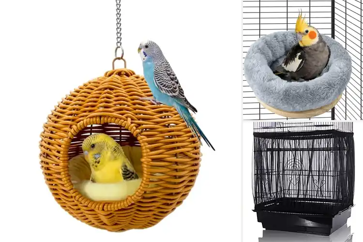 Detailed view of Best Washable Bird Cage Accessories